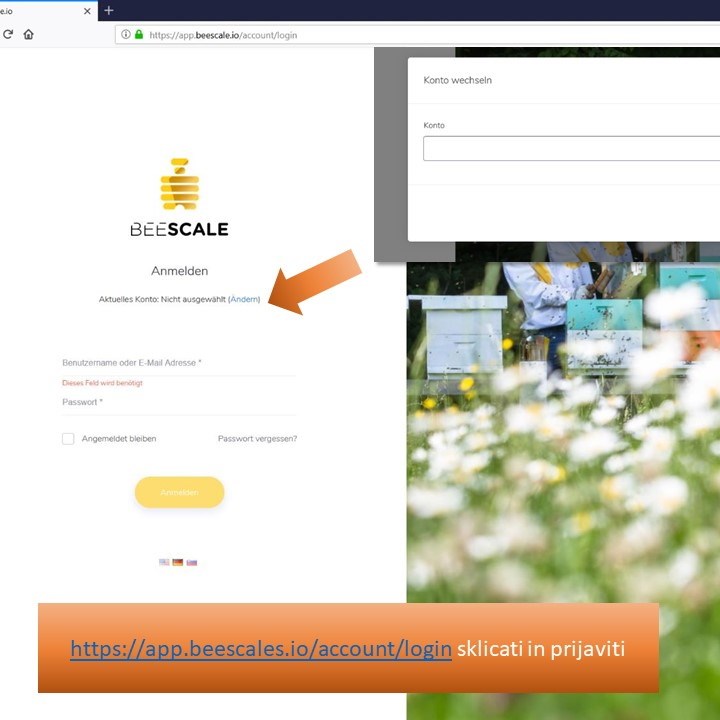 Picture for category Web portal